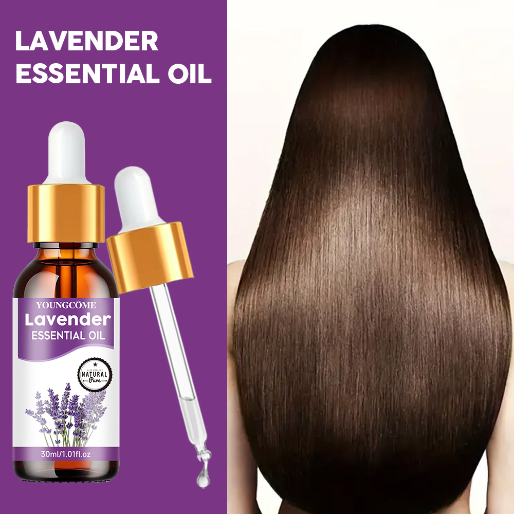 زيت الشعر بخلاصة اللافندر، زيت - مراجعة Hair Care Normal وسعره
